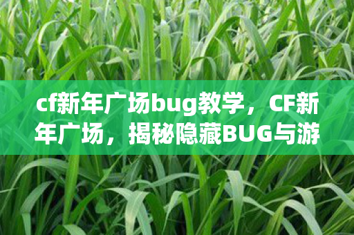 揭秘隐藏BUG与游戏技巧图片