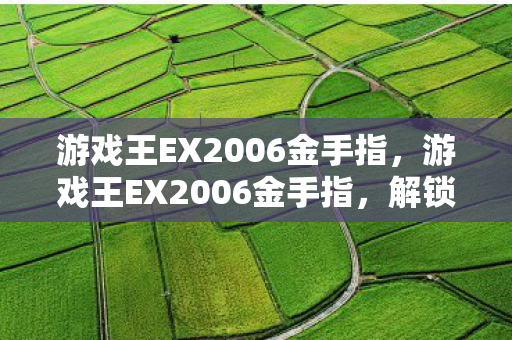 游戏王EX2006金手指图片