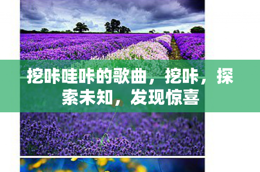 挖咔哇咔的歌曲图片