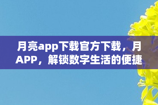 月亮app下载官方下载图片