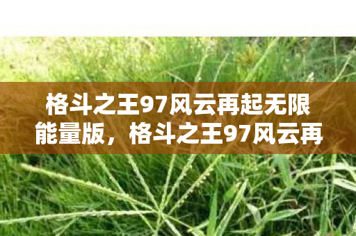 格斗之王97风云再起无限能量版图片