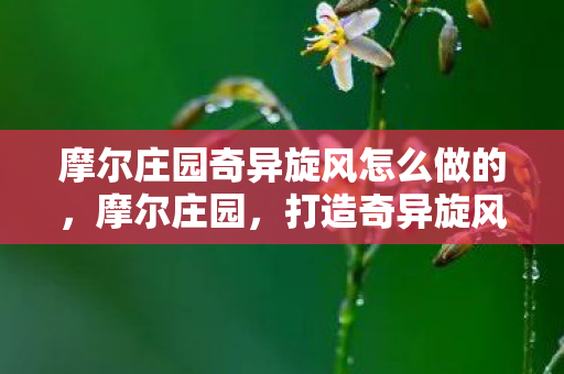 摩尔庄园奇异旋风怎么做的图片