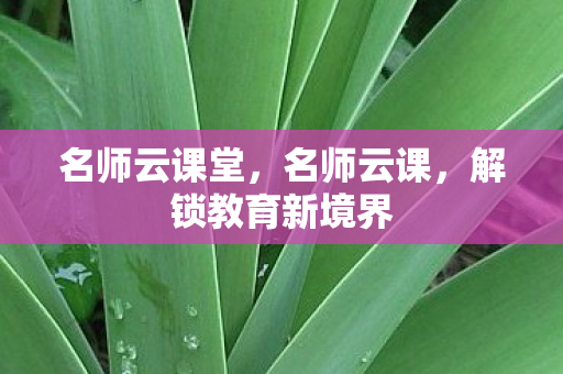 解锁教育新境界图片