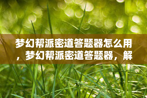 梦幻帮派密道答题器怎么用图片