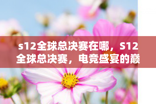 s12全球总决赛在哪图片