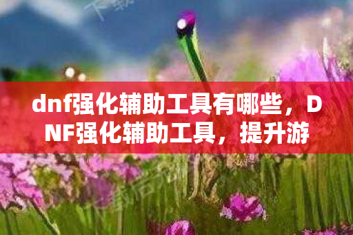 dnf强化辅助工具有哪些图片