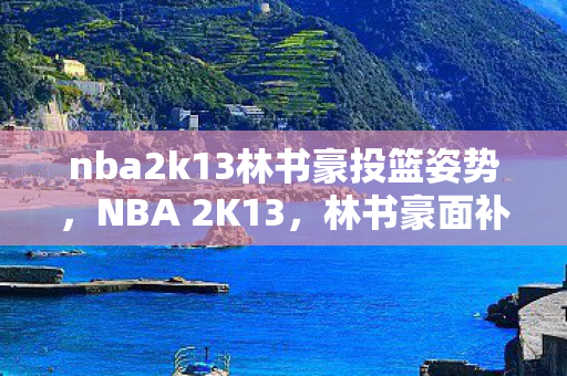 nba2k13林书豪投篮姿势图片