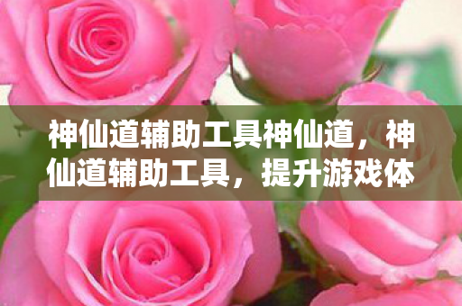 提升游戏体验的神奇助手图片