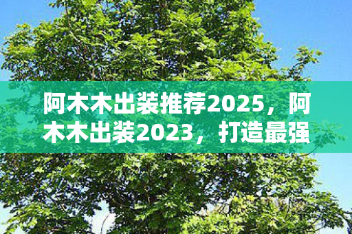 阿木木出装推荐2025图片