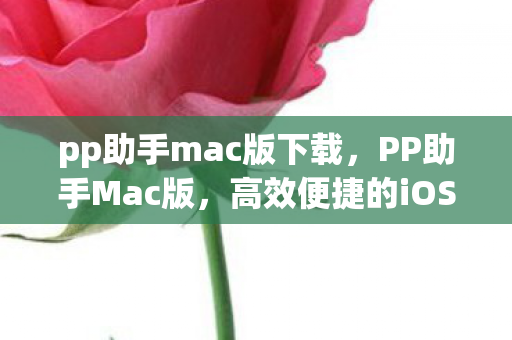 高效便捷的iOS设备管理工具图片