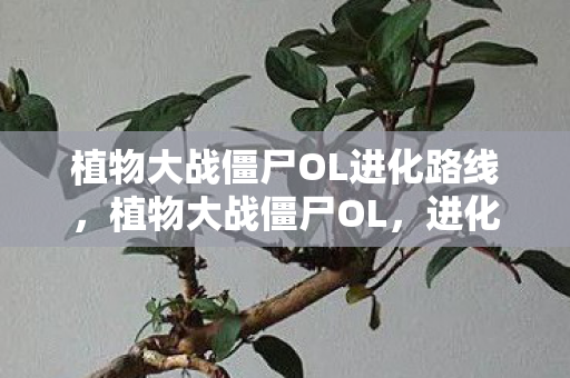 植物大战僵尸OL进化路线图片