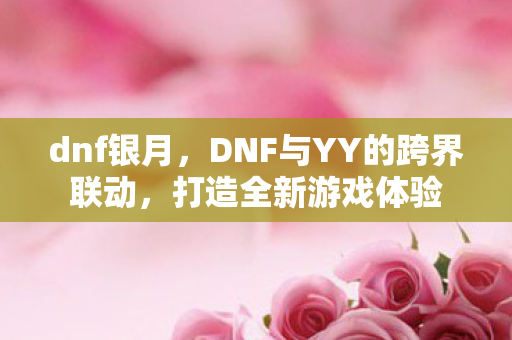 DNF与YY的跨界联动图片