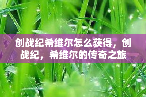 创战纪希维尔怎么获得图片