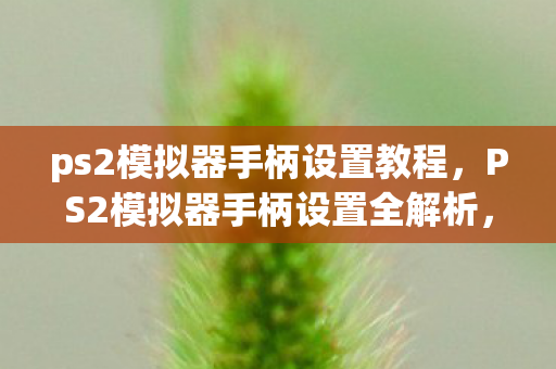 PS2模拟器手柄设置全解析图片