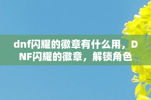 dnf闪耀的徽章有什么用图片