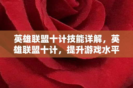 英雄联盟十计技能详解图片