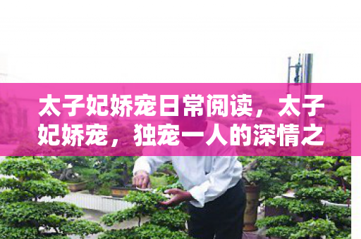 太子妃娇宠日常阅读图片