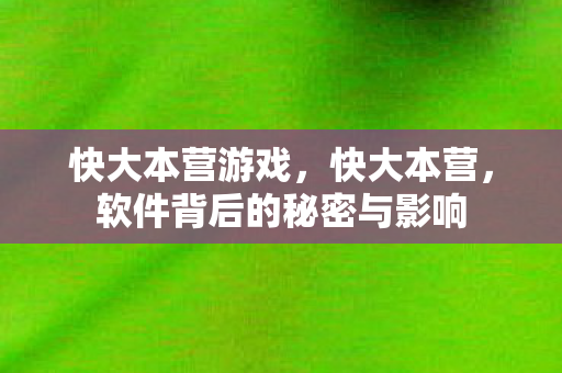 软件背后的秘密与影响图片