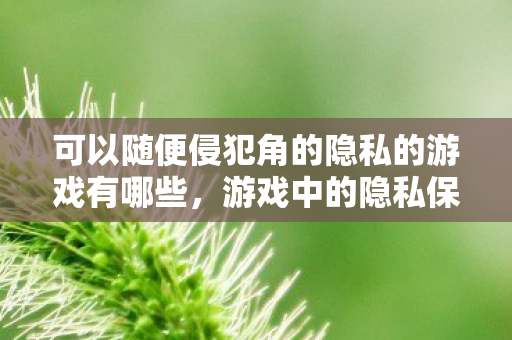 可以随便侵犯角的隐私的游戏有哪些图片