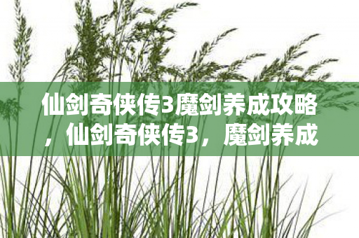 仙剑奇侠传3魔剑养成攻略图片