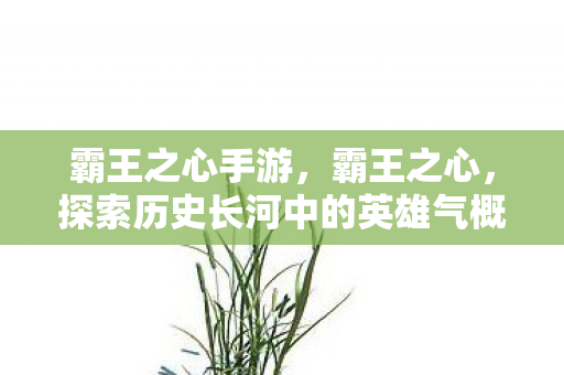 探索历史长河中的英雄气概图片