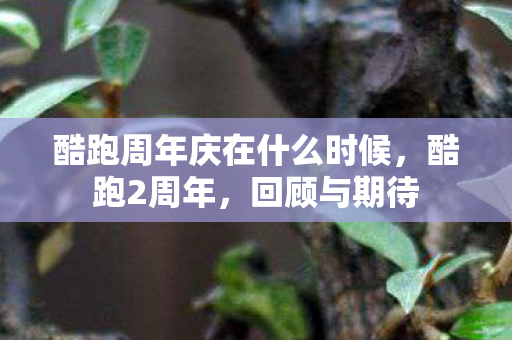 酷跑周年庆在什么时候，酷跑2周年，回顾与期待