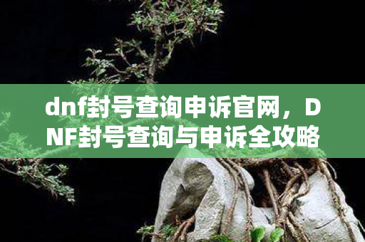 DNF封号查询与申诉全攻略图片