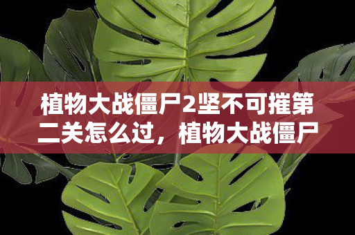 植物大战僵尸2坚不可摧第二关怎么过图片