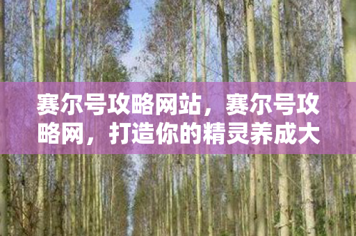 打造你的精灵养成大师之路图片