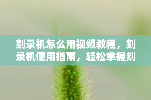 刻录机怎么用视频教程图片