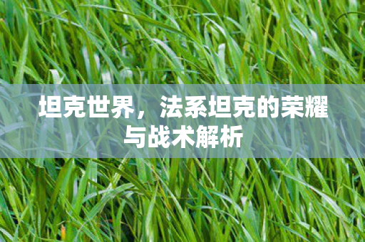 法系坦克的荣耀与战术解析图片