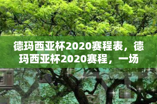 德玛西亚杯2020赛程表图片