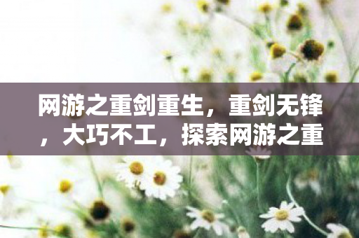 探索网游之重剑的武侠世界图片