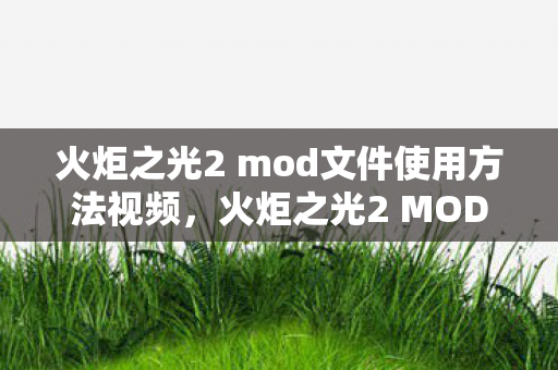 火炬之光2 mod文件使用方法视频图片