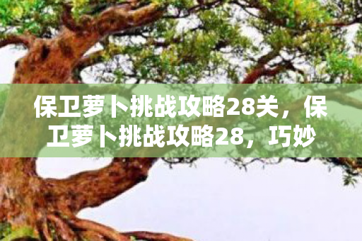 保卫萝卜挑战攻略28关图片