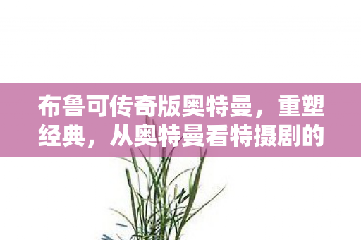 从奥特曼看特摄剧的魅力与影响图片