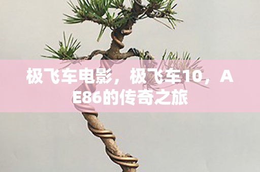 极飞车电影，极飞车10，AE86的传奇之旅