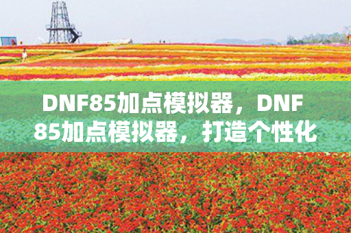 DNF 85加点模拟器图片