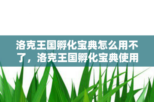 洛克王国孵化宝典怎么用不了图片
