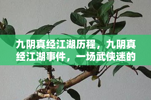 九阴真经江湖历程图片