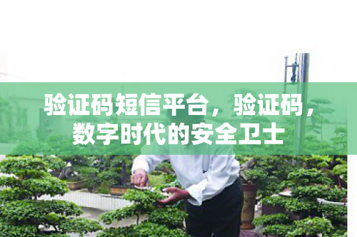 数字时代的安全卫士图片