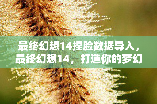 最终幻想14捏脸数据导入图片