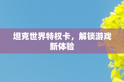 坦克世界特权卡，解锁游戏新体验