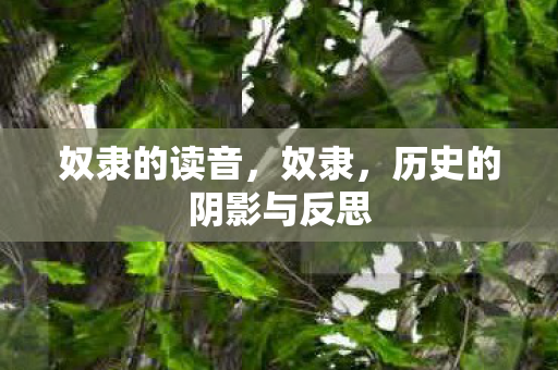 历史的阴影与反思图片