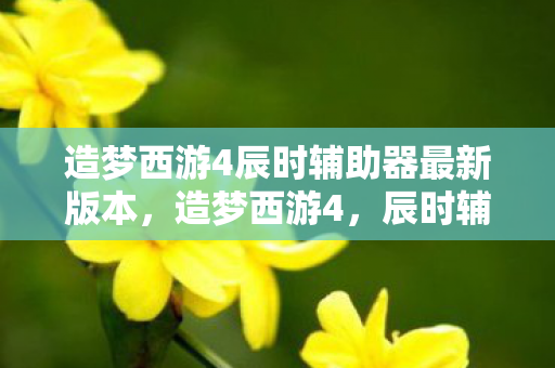 造梦西游4辰时辅助器最新版本图片