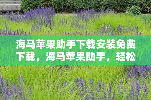 海马苹果助手下载安装免费下载图片