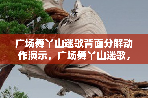 广场舞丫山迷歌背面分解动作演示图片