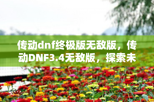 传动dnf终极版无敌版图片