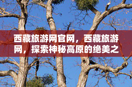 探索神秘高原的绝美之旅图片