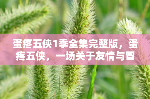 蛋疼五侠1季全集完整版，蛋疼五侠，一场关于友情与冒险的奇妙旅程